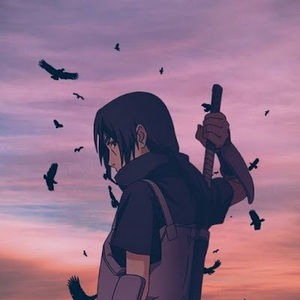 Meet your Posher, Pointz